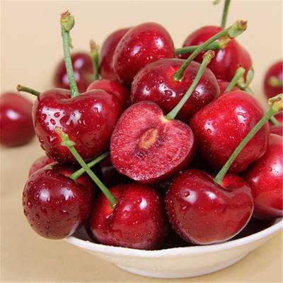 大连大樱桃新鲜水果 顺丰国产车厘子 当季孕妇美早樱桃 一件代发