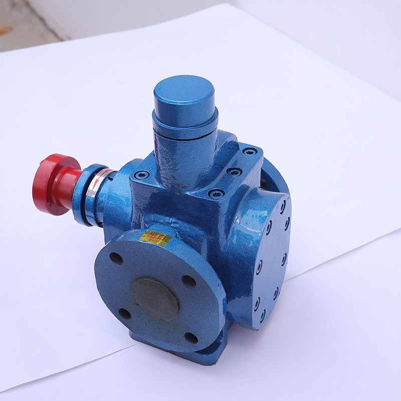 圆弧齿轮泵 帕姆泵 YCB10 不锈钢材质 机械密封填料密封