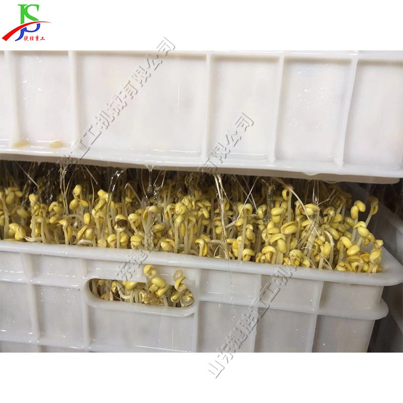 全自动商用黄豆芽机 100kg自动淋水蔬菜芽苗菜机 智能恒温芽苗机