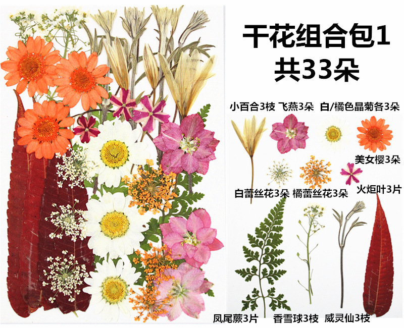 IMG_3613_副本_副本