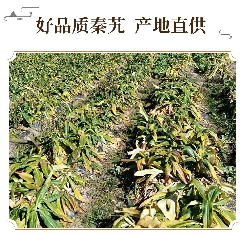 Dried Qin Jiao Large-Leaf Gentian Root 秦艽 Traditional Chinese Herb 500g Sun-Dried Slices for Decoction key features