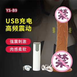 仿真阳具;名器倒模;震动棒