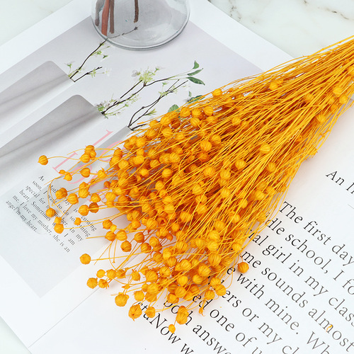 Factory direct supply of Yunnan eternal flower materials, dried flowers, rich bean craft gift materials, DIY flower arrangement materials