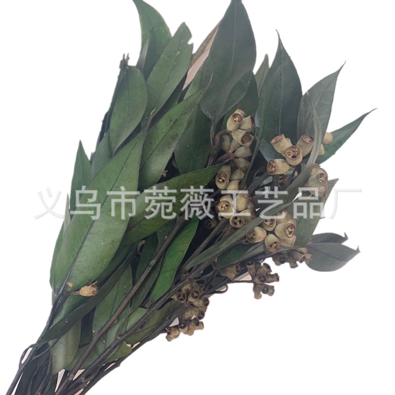 微信图片_20200427131530