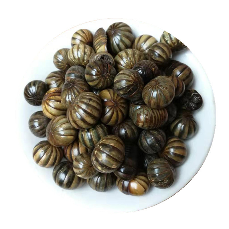 Gun Shan Chong Dried Insect Herb 500g Traditional Chinese Herbal Material specifications