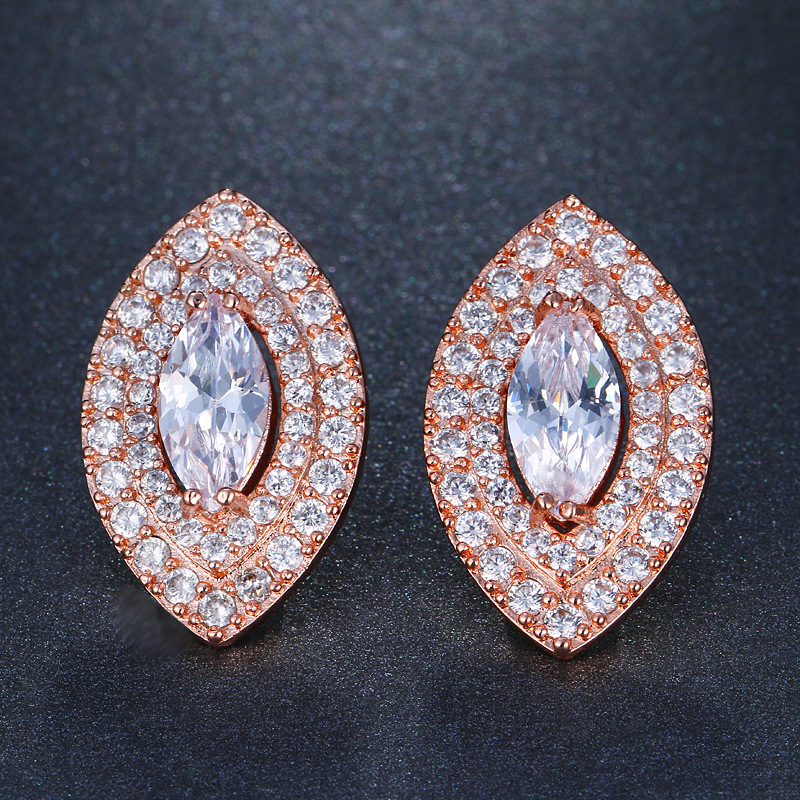Elegant earrings