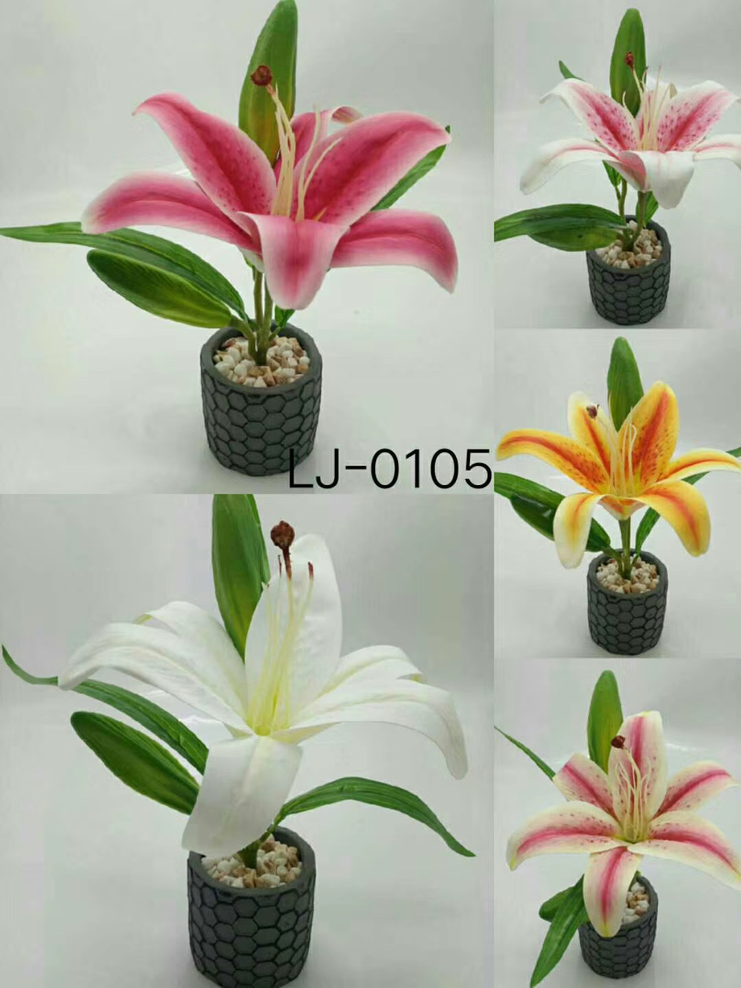 WeChat 圖片_20200704111857