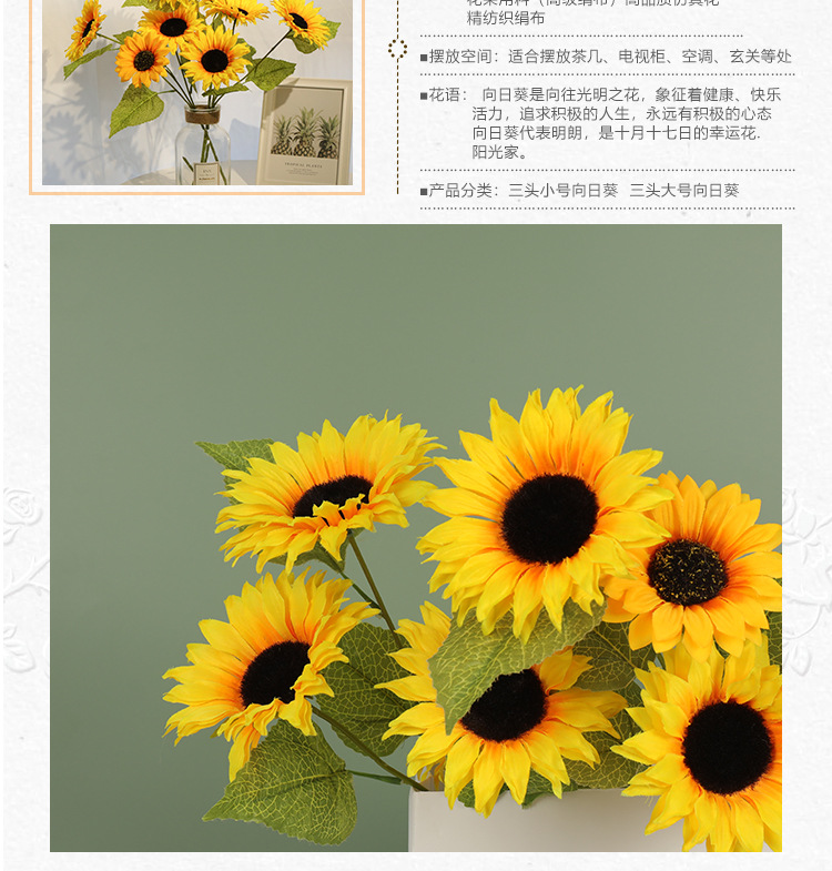 55fd6101006190dec9453fc843eca9