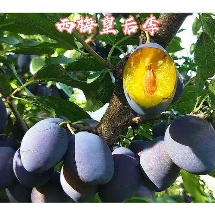 e39b37f81a3b3c90baac515cc4d902