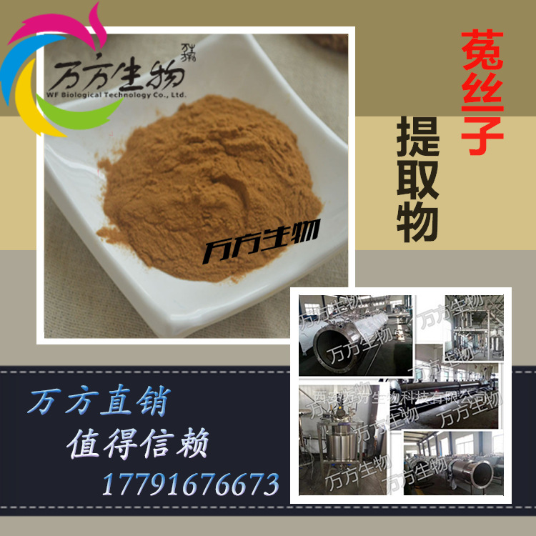 菟丝子提取物 菟丝子皂甙 10:1规格 可附COA 稳定货源 菟丝实粉
