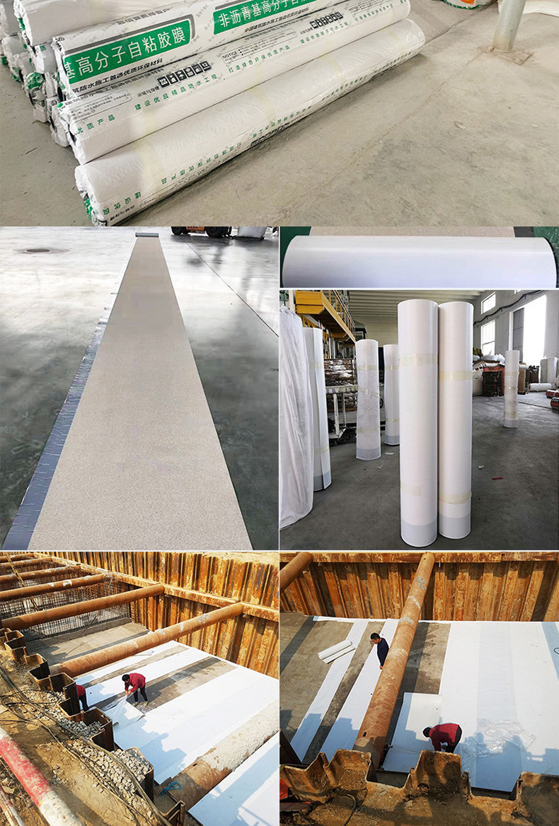 22490785795_2102261503.jpg?__r__=1604388971162