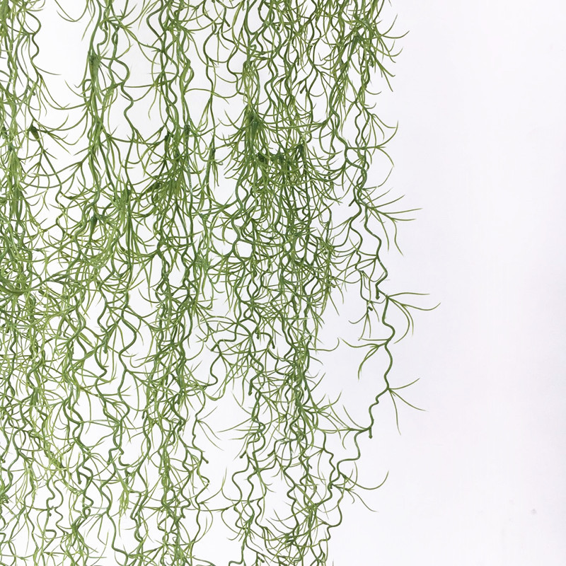 08C901A1B3B3A37FD2C0EA1F0EDE0E