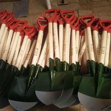 lF@ ԮɳFP 1.2ɭĹF@