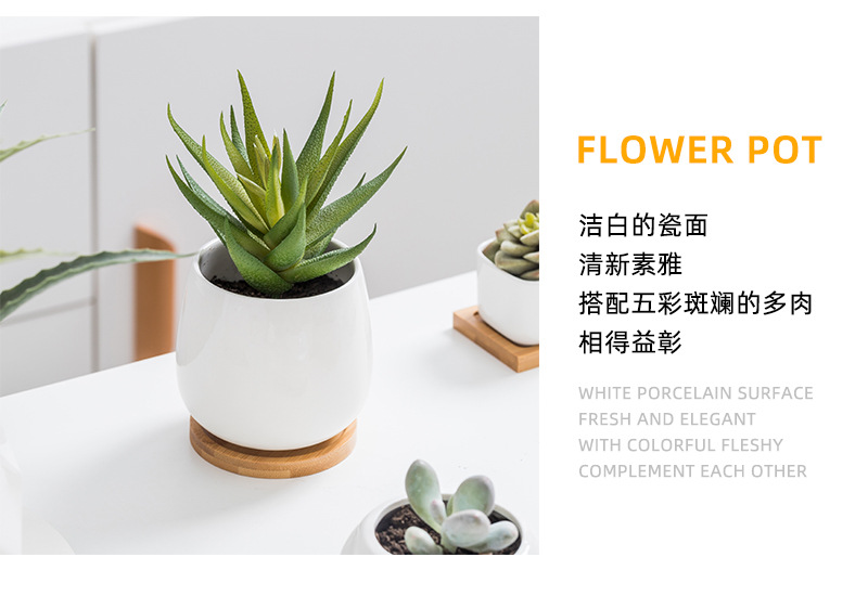 多肉种植盆_09.jpg