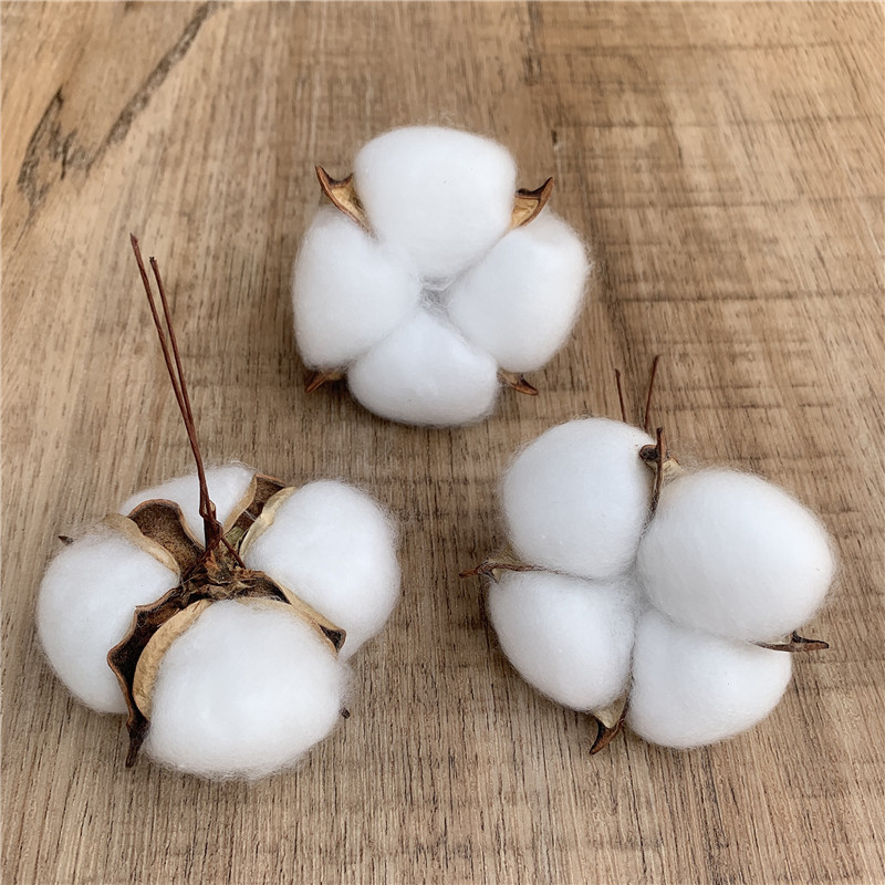 Realistic cotton flower arrangements