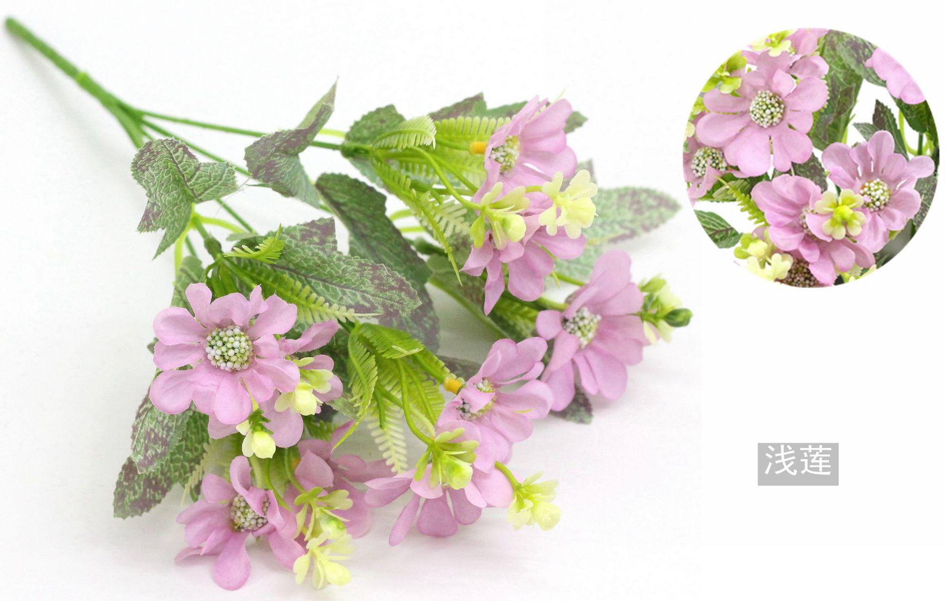 IMG_7620_副本_副本