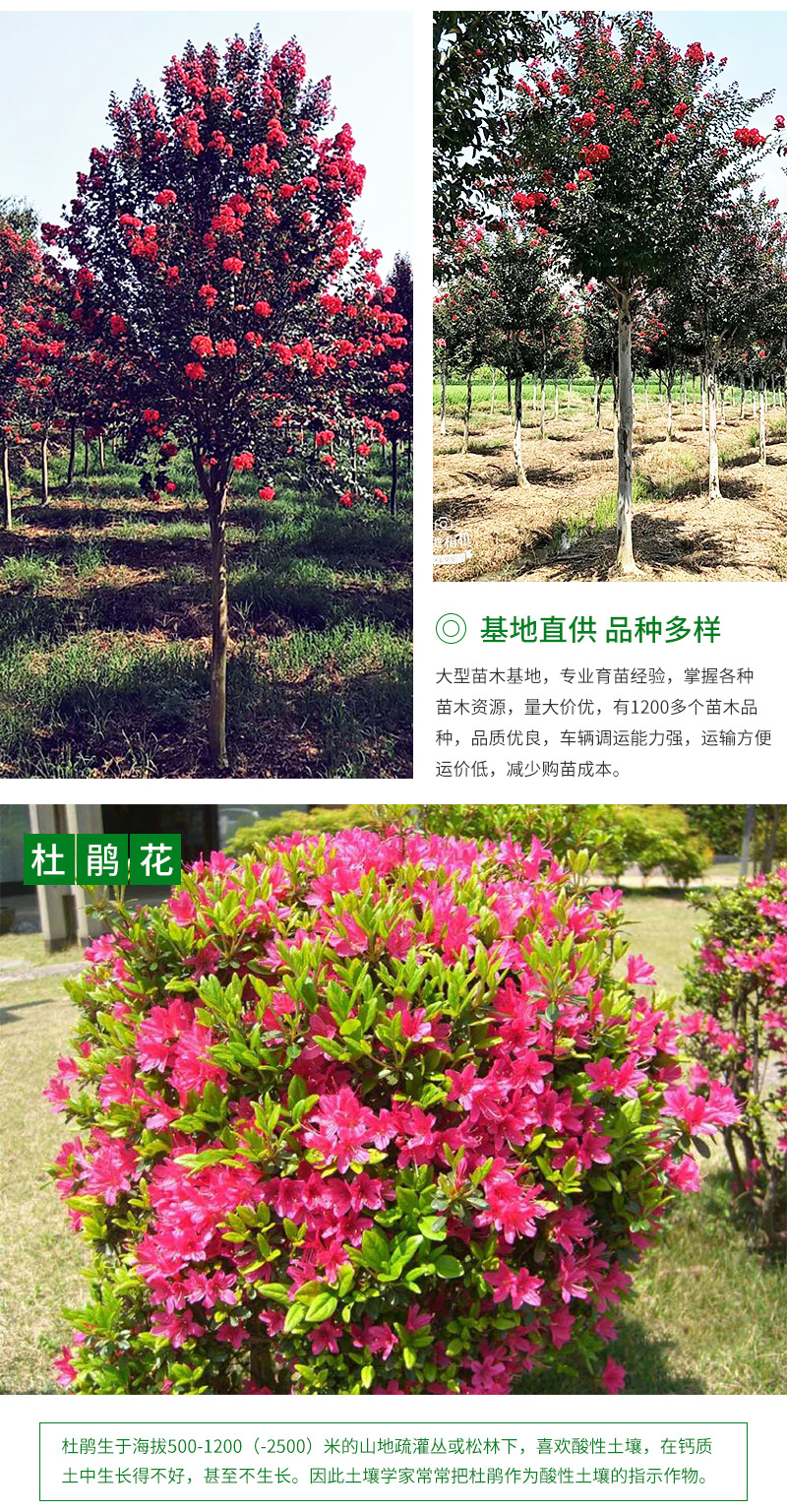 �ۻ��ҹ�-����_05