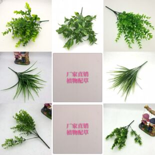 7���ȼ�����˹�� ���滨���ϻ����Gֲ �ٲݾƵ�Ҿ��bG��