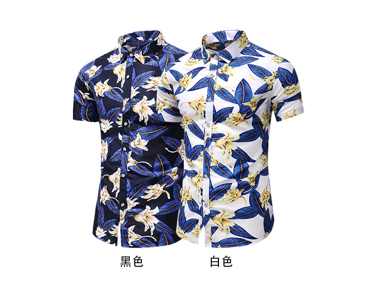 cab790157cec63d566b96edfd750d0