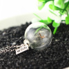 Natural dandelion dry flower necklace accessories Dandelion seed wholesale