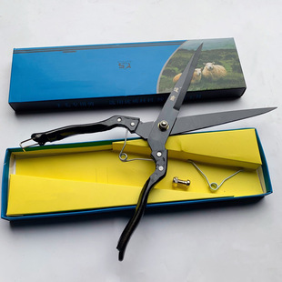 ;���քӏ���ë��   ��ë��   ����ë  �քӴ�̖��ë����  �����