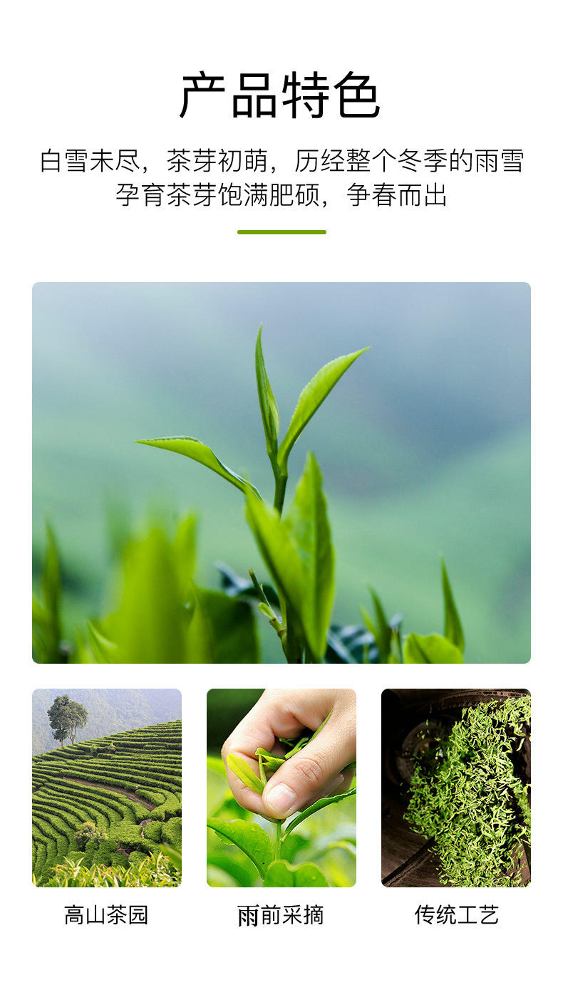 绿茶(雀舌头茶)_雨前