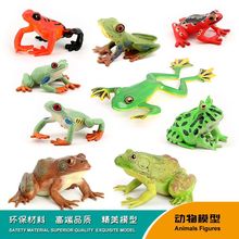 仿真野生动物模型套装青蛙蛤蟆蟾蜍牛蛙实心塑胶儿童认知昆虫玩具