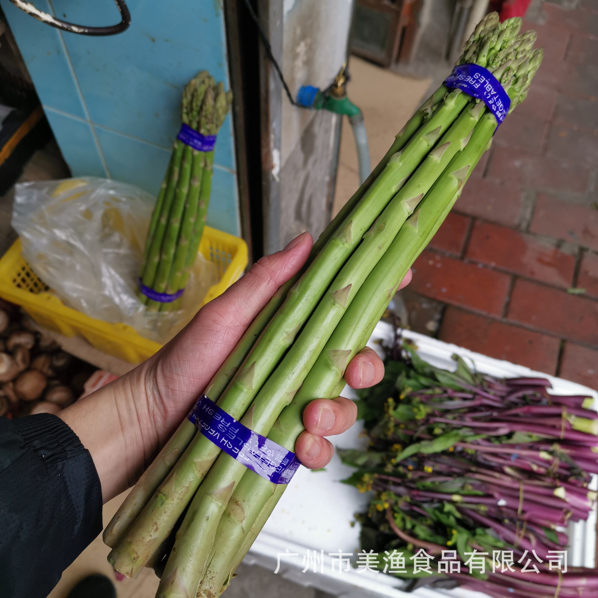 绿芦笋新鲜芦笋龙须菜新鲜蔬菜农家自产绿芦笋春笋嫩青绿龙须-阿里巴巴
