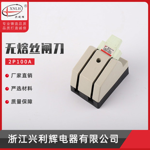 �S�ҹ��� ������ßo�۽z�l�� 2P100A ���`���_�P �o���U�z�l��
