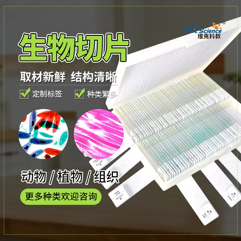 生物教学器材 100种动植物套装 现货供应 显微镜观察玻片标本