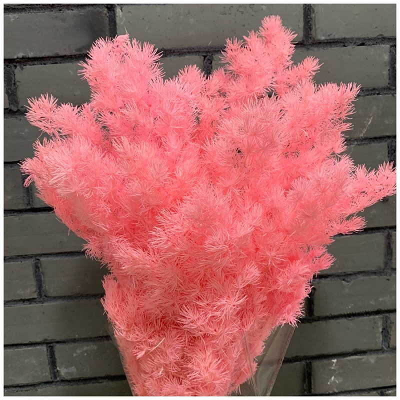 微信图片_20200607111542