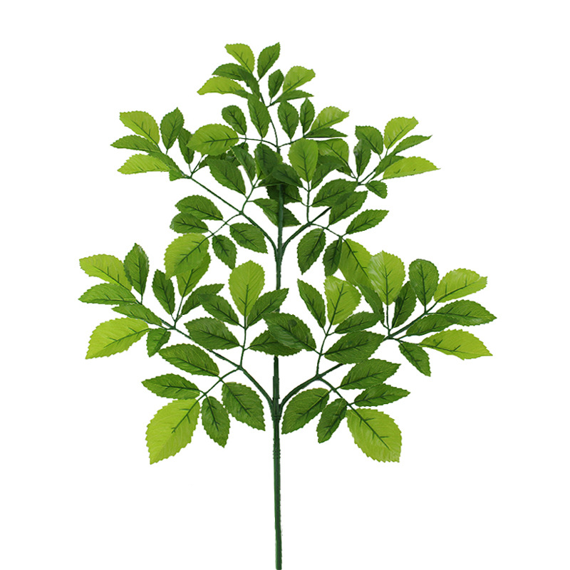 XRB-110 榆树叶五叉枝4.jpg