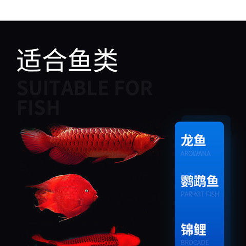 86ec8a3a7a78865c0636eef08b36ae