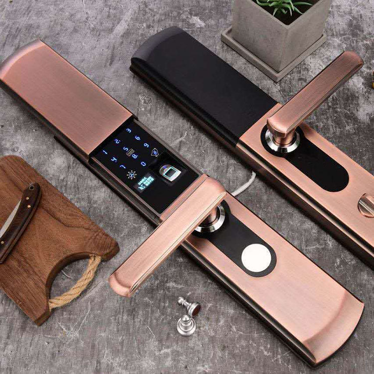 龙将半导体家用防盗门指纹电子密码锁S3自动下滑盖锌合金一握开|ms