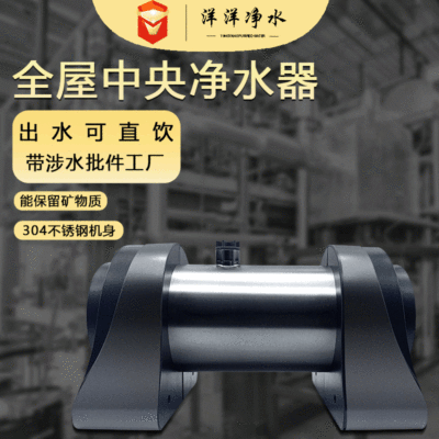 Stainless steel The whole house Water purifier Large flow Central water purifier household kitchen The Conduit Ultrafiltration machine Manufactor Supplying