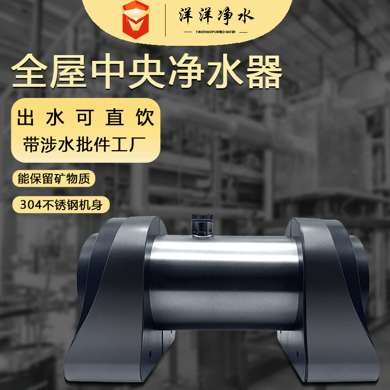 Stainless steel The whole house Water purifier Large flow Central water purifier household kitchen The Conduit Ultrafiltration machine Manufactor Supplying