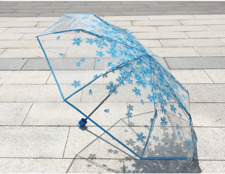 11012932508_2119238038