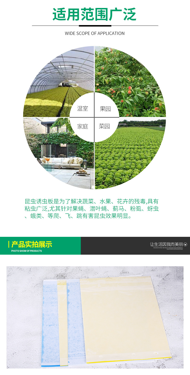 13170795804_1404681684