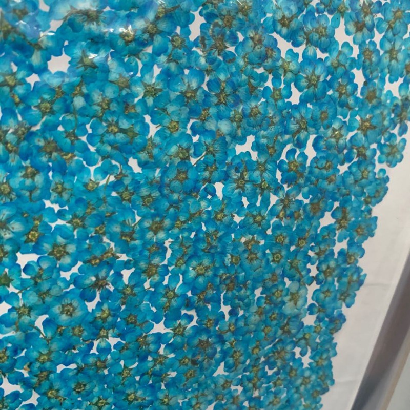 微信图片_20200415230718