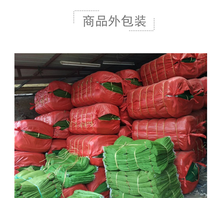 O1CN019MTwoZ29q5pUAStVW_!!1754