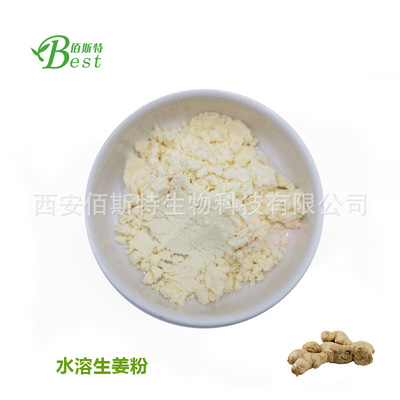 水溶性生姜粉 生姜粉 生姜提取物 水溶 厂家自销 量大从优