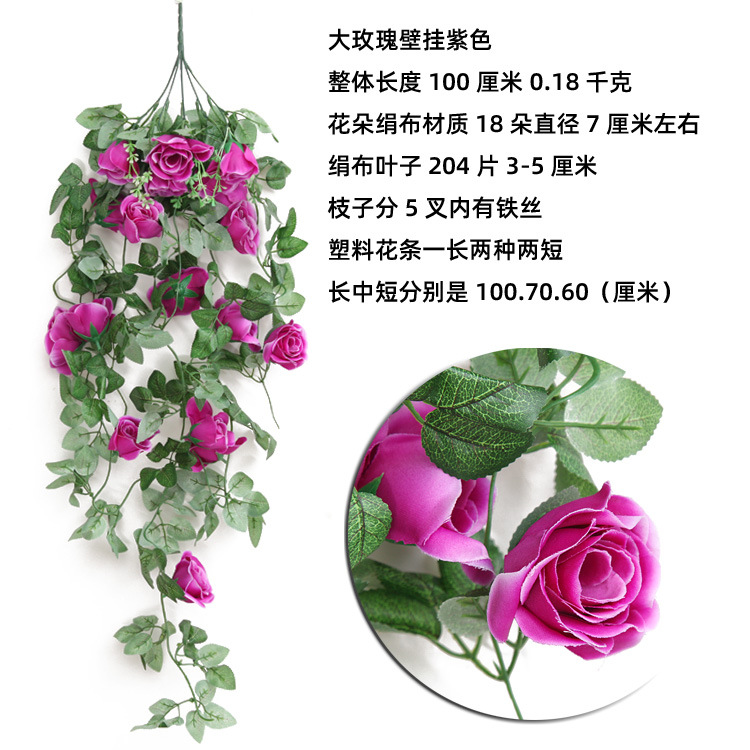 IMG_7049 副本紫色