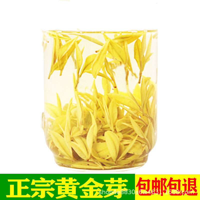 2021新茶浙江奶香型安吉白茶金黃鳳形正宗春茶黃茶批發黃金芽