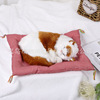 Realistic toy, big animal model, cat, wholesale