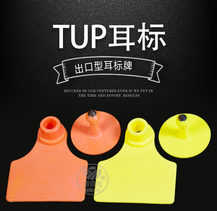 猪耳标CB详情页 (1).jpg