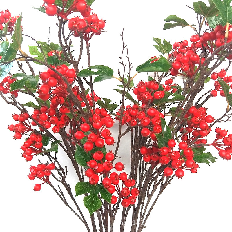 XRG-004山楂果大6叉枝 红 5.jpg