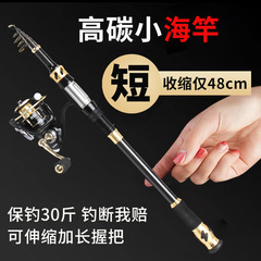 海竿短節迷你小海竿拋竿甩竿岸閥拋竿筏釣竿海杆套裝便捷短節魚竿