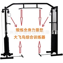 大飞鸟龙门架综合训练器健身房多功能套装组合大力量器械双臂交叉