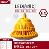 led Explosion proof lamp Floodlight Warehouse Factory building 50w100w Stations Cast light Chemical workshop Lighting
