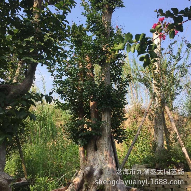 IMG_5464(20200224-231700)